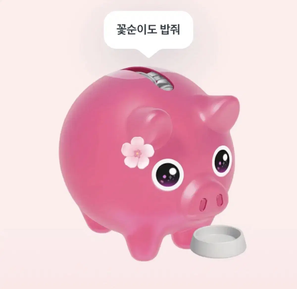 꽃돼지 100원만...